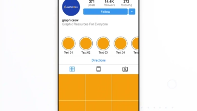 Instagram Profile Viewer